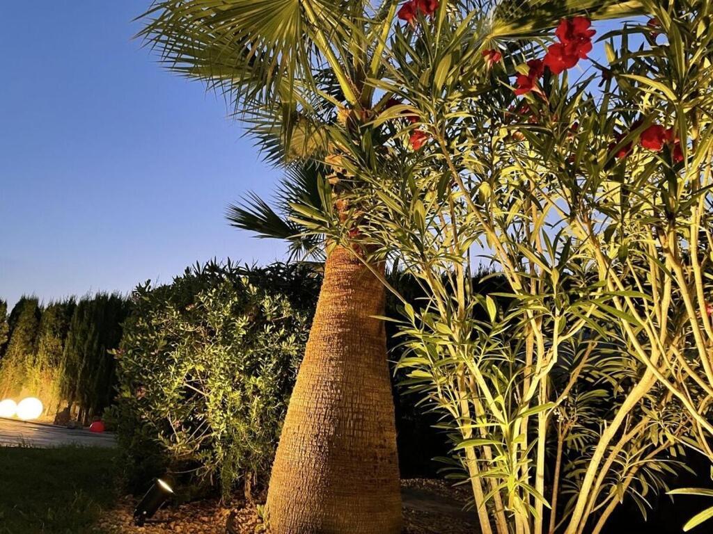 Murada Comfortable Ferienhaus Cala Murada (Mallorca)